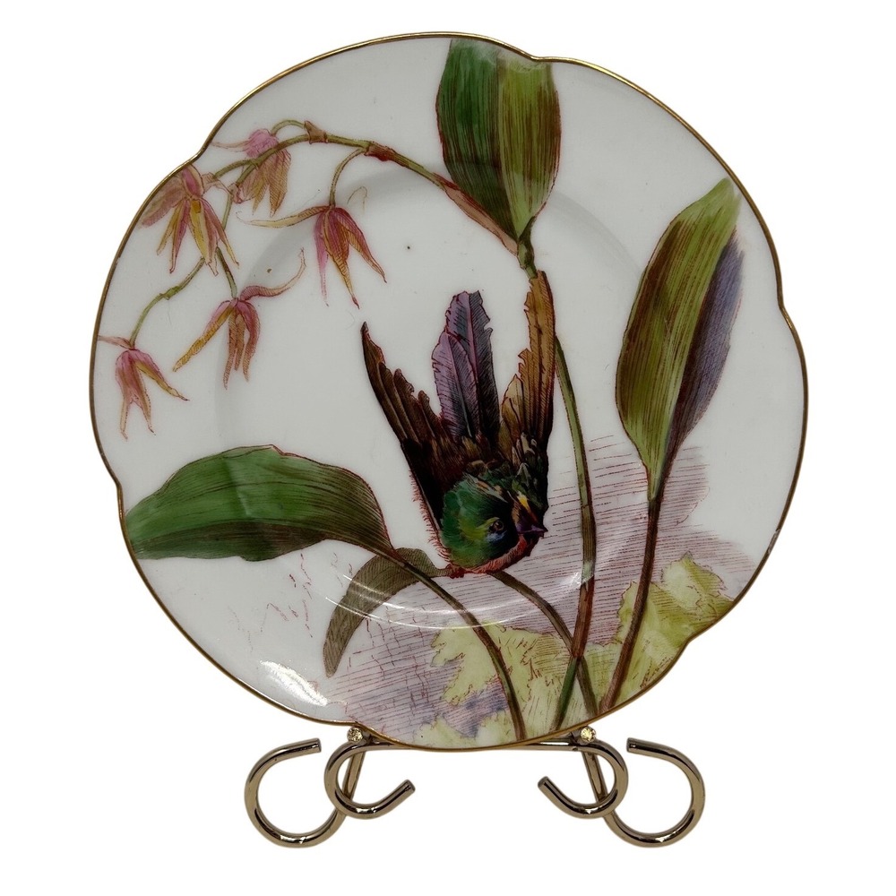 Antique Painted Porcelain Hummingbird Scalloped Cabinet Plate Gold Trim 8.5 Inch